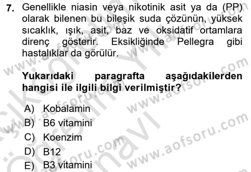 Temel Beslenme İlkeleri Dersi 2021 - 2022 Yılı Yaz Okulu Sınav Soruları 7. Soru