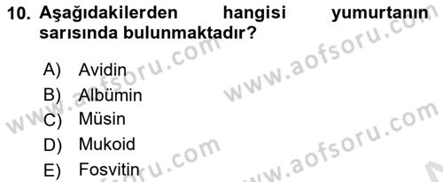 Temel Beslenme İlkeleri Dersi 2022 - 2023 Yılı Yaz Okulu Sınav Soruları 10. Soru