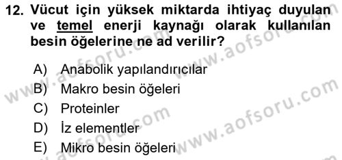 Temel Beslenme İlkeleri Dersi 2022 - 2023 Yılı Yaz Okulu Sınav Soruları 12. Soru