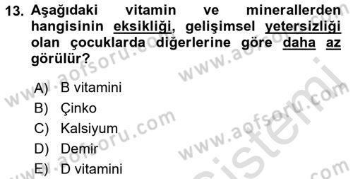 Temel Beslenme İlkeleri Dersi 2022 - 2023 Yılı Yaz Okulu Sınav Soruları 13. Soru