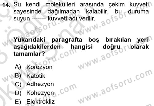 Temel Beslenme İlkeleri Dersi 2022 - 2023 Yılı Yaz Okulu Sınav Soruları 14. Soru