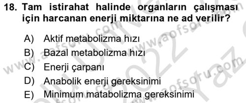 Temel Beslenme İlkeleri Dersi 2022 - 2023 Yılı Yaz Okulu Sınav Soruları 18. Soru