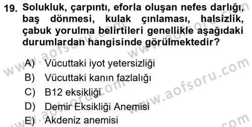 Temel Beslenme İlkeleri Dersi 2022 - 2023 Yılı Yaz Okulu Sınav Soruları 19. Soru