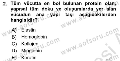 Temel Beslenme İlkeleri Dersi 2022 - 2023 Yılı Yaz Okulu Sınav Soruları 2. Soru