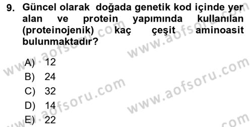 Temel Beslenme İlkeleri Dersi 2022 - 2023 Yılı Yaz Okulu Sınav Soruları 9. Soru