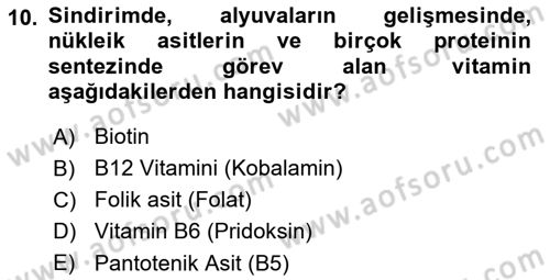 Temel Beslenme İlkeleri Dersi 2023 - 2024 Yılı (Vize) Ara Sınav Soruları 10. Soru