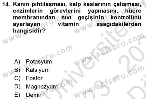 Temel Beslenme İlkeleri Dersi 2023 - 2024 Yılı (Vize) Ara Sınav Soruları 14. Soru