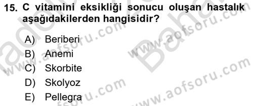 Temel Beslenme İlkeleri Dersi 2023 - 2024 Yılı (Vize) Ara Sınav Soruları 15. Soru