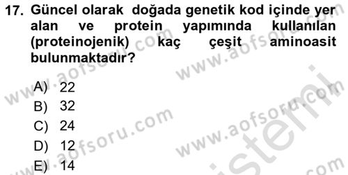 Temel Beslenme İlkeleri Dersi 2023 - 2024 Yılı (Vize) Ara Sınav Soruları 17. Soru