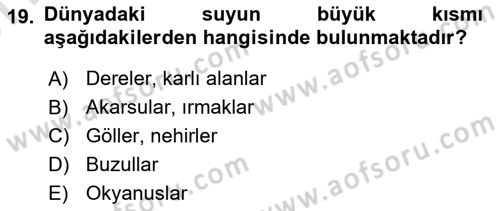 Temel Beslenme İlkeleri Dersi 2023 - 2024 Yılı (Vize) Ara Sınav Soruları 19. Soru