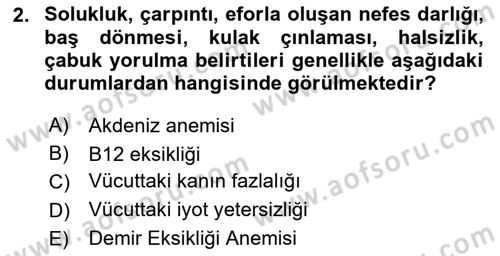 Temel Beslenme İlkeleri Dersi 2023 - 2024 Yılı (Vize) Ara Sınav Soruları 2. Soru