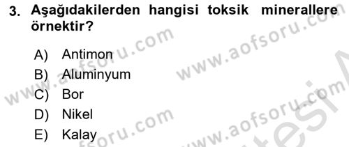 Temel Beslenme İlkeleri Dersi 2023 - 2024 Yılı (Vize) Ara Sınav Soruları 3. Soru