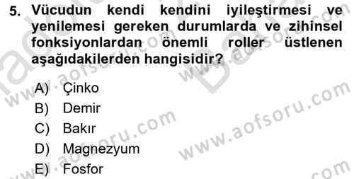 Temel Beslenme İlkeleri Dersi 2023 - 2024 Yılı (Vize) Ara Sınav Soruları 5. Soru