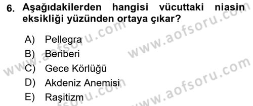 Temel Beslenme İlkeleri Dersi 2023 - 2024 Yılı (Vize) Ara Sınav Soruları 6. Soru