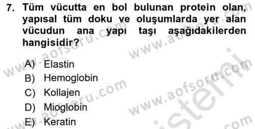 Temel Beslenme İlkeleri Dersi 2023 - 2024 Yılı (Vize) Ara Sınav Soruları 7. Soru