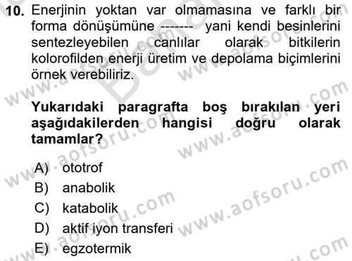 Temel Beslenme İlkeleri Dersi 2023 - 2024 Yılı (Final) Dönem Sonu Sınav Soruları 10. Soru