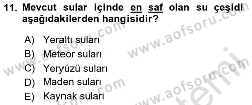 Temel Beslenme İlkeleri Dersi 2023 - 2024 Yılı (Final) Dönem Sonu Sınav Soruları 11. Soru