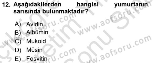 Temel Beslenme İlkeleri Dersi 2023 - 2024 Yılı (Final) Dönem Sonu Sınav Soruları 12. Soru
