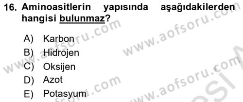 Temel Beslenme İlkeleri Dersi 2023 - 2024 Yılı (Final) Dönem Sonu Sınav Soruları 16. Soru