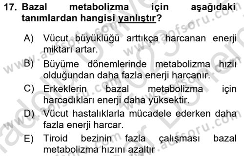 Temel Beslenme İlkeleri Dersi 2023 - 2024 Yılı (Final) Dönem Sonu Sınav Soruları 17. Soru