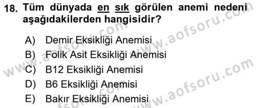 Temel Beslenme İlkeleri Dersi 2023 - 2024 Yılı (Final) Dönem Sonu Sınav Soruları 18. Soru