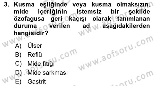 Temel Beslenme İlkeleri Dersi 2023 - 2024 Yılı (Final) Dönem Sonu Sınav Soruları 3. Soru