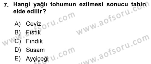 Temel Beslenme İlkeleri Dersi 2023 - 2024 Yılı (Final) Dönem Sonu Sınav Soruları 7. Soru