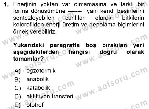 Temel Beslenme İlkeleri Dersi 2023 - 2024 Yılı Yaz Okulu Sınav Soruları 1. Soru