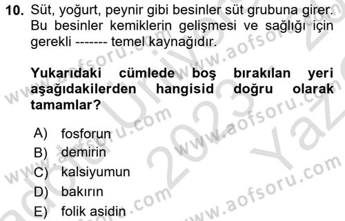 Temel Beslenme İlkeleri Dersi 2023 - 2024 Yılı Yaz Okulu Sınav Soruları 10. Soru