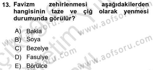 Temel Beslenme İlkeleri Dersi 2023 - 2024 Yılı Yaz Okulu Sınav Soruları 13. Soru