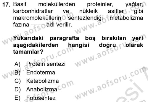 Temel Beslenme İlkeleri Dersi 2023 - 2024 Yılı Yaz Okulu Sınav Soruları 17. Soru