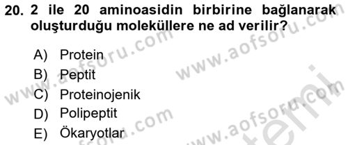 Temel Beslenme İlkeleri Dersi 2023 - 2024 Yılı Yaz Okulu Sınav Soruları 20. Soru