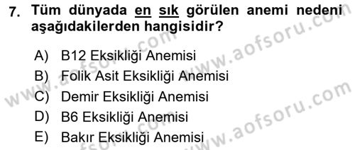 Temel Beslenme İlkeleri Dersi 2023 - 2024 Yılı Yaz Okulu Sınav Soruları 7. Soru
