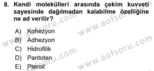 Temel Beslenme İlkeleri Dersi 2023 - 2024 Yılı Yaz Okulu Sınav Soruları 8. Soru