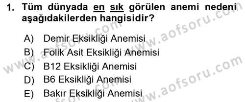 Temel Beslenme İlkeleri Dersi 2024 - 2025 Yılı (Vize) Ara Sınav Soruları 1. Soru