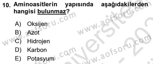 Temel Beslenme İlkeleri Dersi 2024 - 2025 Yılı (Vize) Ara Sınav Soruları 10. Soru