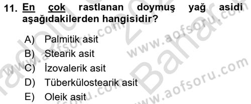 Temel Beslenme İlkeleri Dersi 2024 - 2025 Yılı (Vize) Ara Sınav Soruları 11. Soru