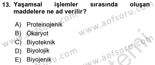 Temel Beslenme İlkeleri Dersi 2024 - 2025 Yılı (Vize) Ara Sınav Soruları 13. Soru
