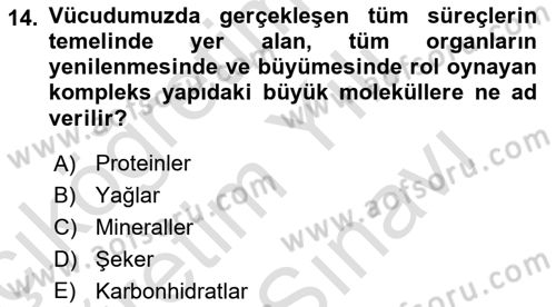 Temel Beslenme İlkeleri Dersi 2024 - 2025 Yılı (Vize) Ara Sınav Soruları 14. Soru