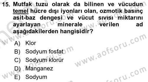 Temel Beslenme İlkeleri Dersi 2024 - 2025 Yılı (Vize) Ara Sınav Soruları 15. Soru