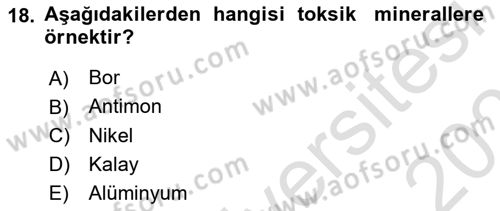 Temel Beslenme İlkeleri Dersi 2024 - 2025 Yılı (Vize) Ara Sınav Soruları 18. Soru
