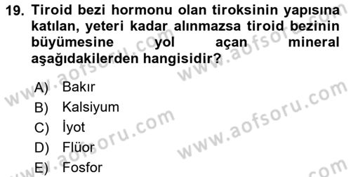 Temel Beslenme İlkeleri Dersi 2024 - 2025 Yılı (Vize) Ara Sınav Soruları 19. Soru