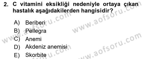 Temel Beslenme İlkeleri Dersi 2024 - 2025 Yılı (Vize) Ara Sınav Soruları 2. Soru