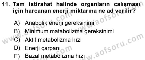 Temel Beslenme İlkeleri Dersi 2024 - 2025 Yılı (Final) Dönem Sonu Sınav Soruları 11. Soru