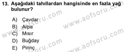 Temel Beslenme İlkeleri Dersi 2024 - 2025 Yılı (Final) Dönem Sonu Sınav Soruları 13. Soru