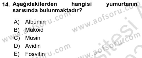 Temel Beslenme İlkeleri Dersi 2024 - 2025 Yılı (Final) Dönem Sonu Sınav Soruları 14. Soru
