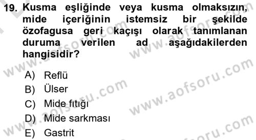 Temel Beslenme İlkeleri Dersi 2024 - 2025 Yılı (Final) Dönem Sonu Sınav Soruları 19. Soru