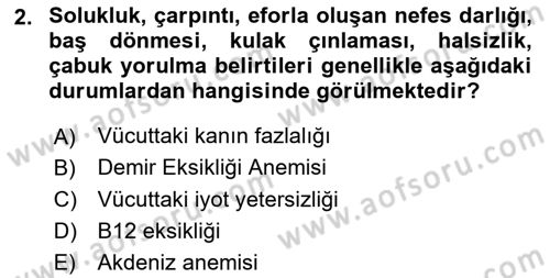 Temel Beslenme İlkeleri Dersi 2024 - 2025 Yılı (Final) Dönem Sonu Sınav Soruları 2. Soru