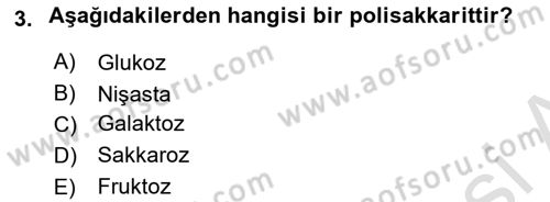Temel Beslenme İlkeleri Dersi 2024 - 2025 Yılı (Final) Dönem Sonu Sınav Soruları 3. Soru