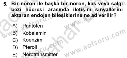 Temel Beslenme İlkeleri Dersi 2024 - 2025 Yılı (Final) Dönem Sonu Sınav Soruları 5. Soru